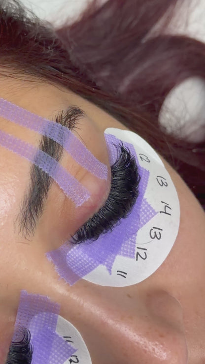 BEGINNER EYELASH EXTENSIONS